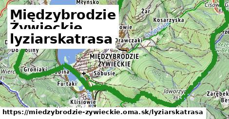 Międzybrodzie Żywieckie Lyžiarske trasy  