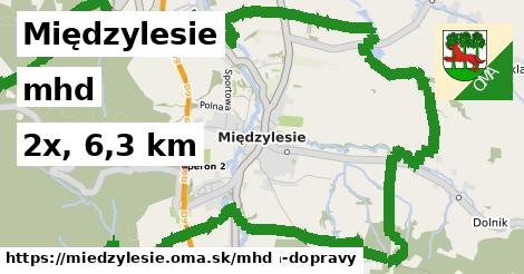 Międzylesie Doprava  