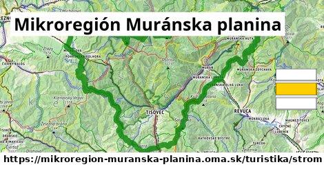 Mikroregión Muránska planina Turistické trasy strom 