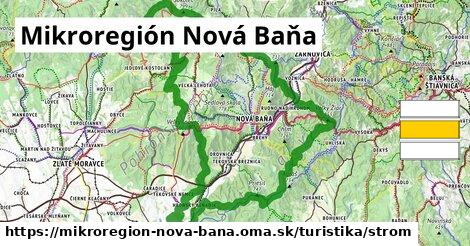 Mikroregión Nová Baňa Turistické trasy strom 