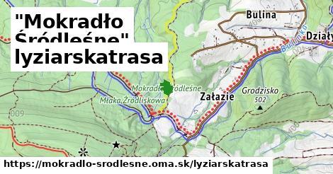 "Mokradło Śródleśne" Lyžiarske trasy  