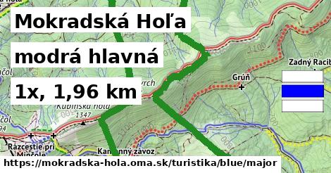 Mokradská Hoľa Turistické trasy modrá hlavná