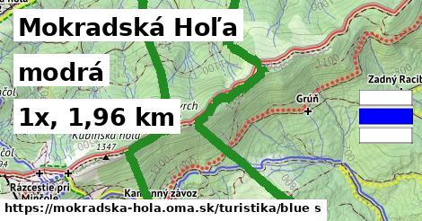 Mokradská Hoľa Turistické trasy modrá 