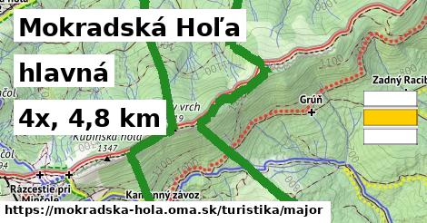 Mokradská Hoľa Turistické trasy hlavná 