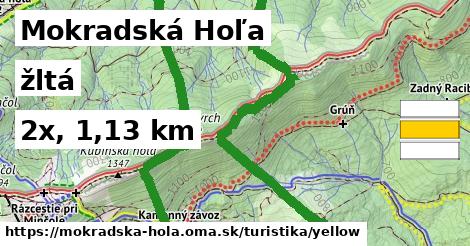 Mokradská Hoľa Turistické trasy žltá 