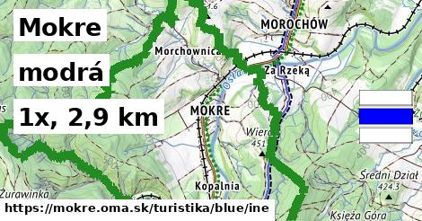 Mokre Turistické trasy modrá iná