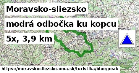 Moravsko-sliezsko Turistické trasy modrá odbočka ku kopcu