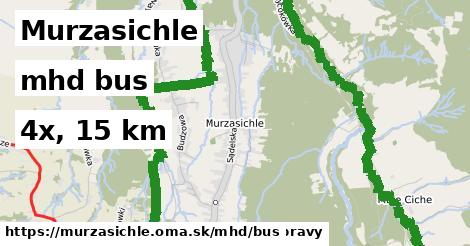 Murzasichle Doprava bus 