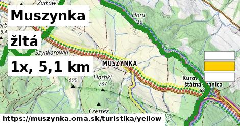 Muszynka Turistické trasy žltá 