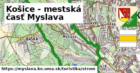 Košice - mestská časť Myslava Turistické trasy strom 