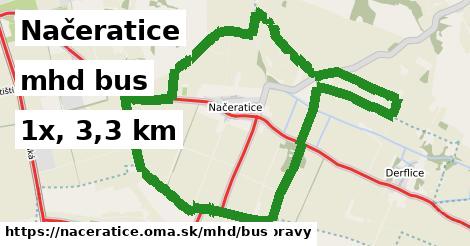 Načeratice Doprava bus 