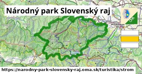 Národný park Slovenský raj Turistické trasy strom 