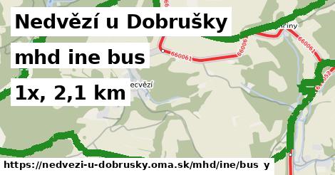 Nedvězí u Dobrušky Doprava iná bus