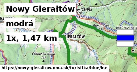 Nowy Gierałtów Turistické trasy modrá iná