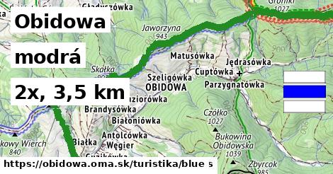 Obidowa Turistické trasy modrá 