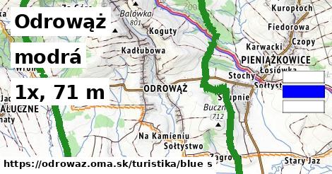 Odrowąż Turistické trasy modrá 
