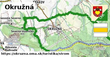 Okružná Turistické trasy strom 