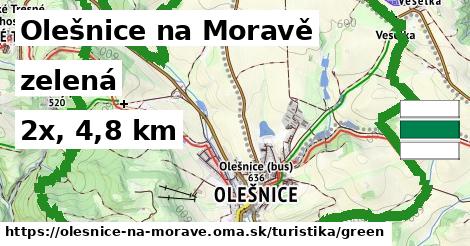 Olešnice na Moravě Turistické trasy zelená 