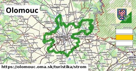 Olomouc Turistické trasy strom 