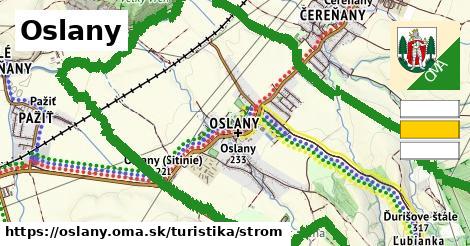 Oslany Turistické trasy strom 