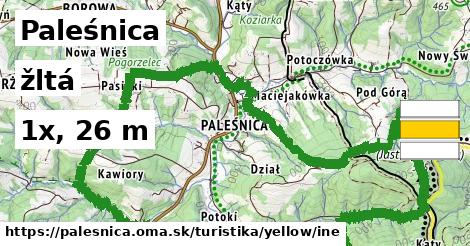 Paleśnica Turistické trasy žltá iná