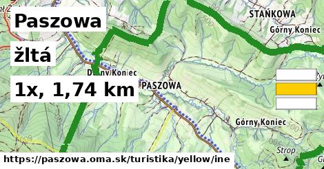 Paszowa Turistické trasy žltá iná