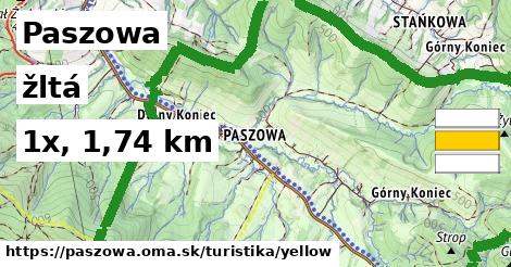 Paszowa Turistické trasy žltá 