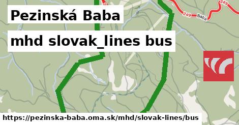 Pezinská Baba Doprava slovak-lines bus