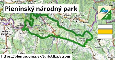 Pieninský národný park Turistické trasy strom 