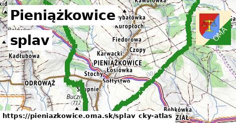 Pieniążkowice Splav  