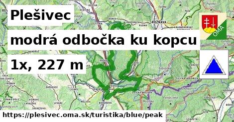 Plešivec Turistické trasy modrá odbočka ku kopcu