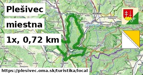 Plešivec Turistické trasy miestna 