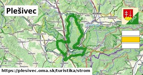 Plešivec Turistické trasy strom 