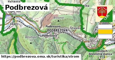 Podbrezová Turistické trasy strom 