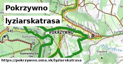 Pokrzywno Lyžiarske trasy  