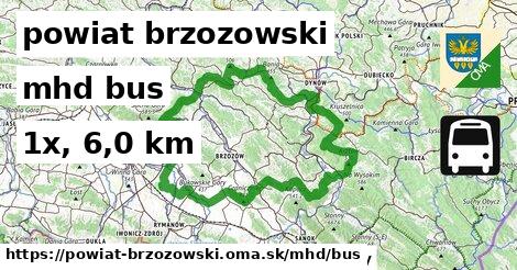 powiat brzozowski Doprava bus 