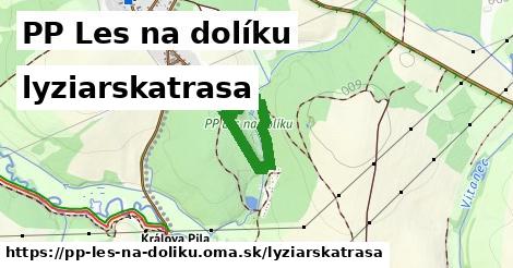 PP Les na dolíku Lyžiarske trasy  