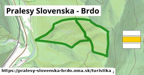 Pralesy Slovenska - Brdo Turistické trasy  