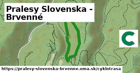 Pralesy Slovenska - Brvenné Cyklotrasy  