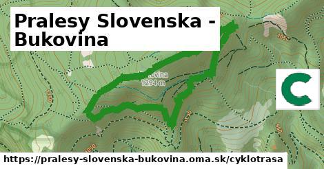 Pralesy Slovenska - Bukovina Cyklotrasy  