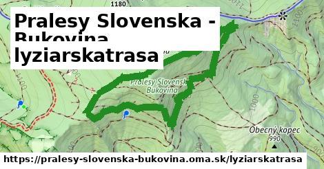 Pralesy Slovenska - Bukovina Lyžiarske trasy  