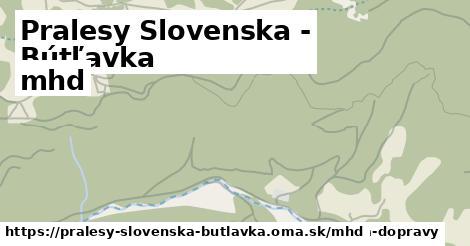 Pralesy Slovenska - Bútľavka Doprava  