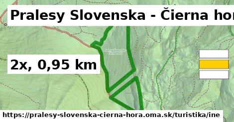 Pralesy Slovenska - Čierna hora Turistické trasy iná 