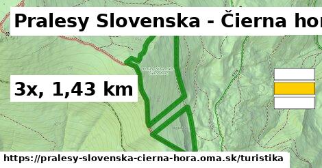 Pralesy Slovenska - Čierna hora Turistické trasy  