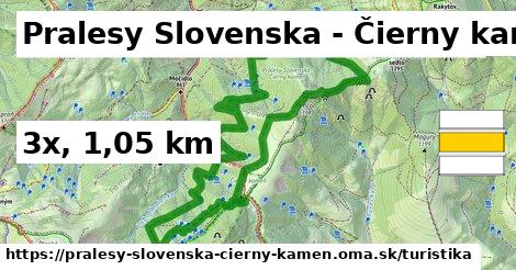 Pralesy Slovenska - Čierny kameň Turistické trasy  