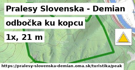 Pralesy Slovenska - Demian Turistické trasy odbočka ku kopcu 
