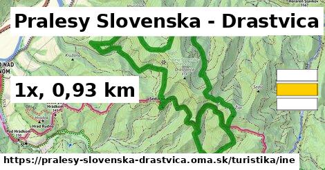 Pralesy Slovenska - Drastvica Turistické trasy iná 