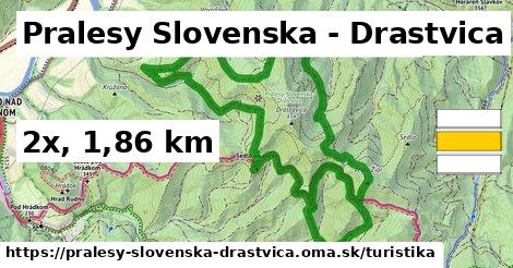 Pralesy Slovenska - Drastvica Turistické trasy  