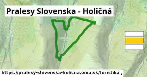 Pralesy Slovenska - Holičná Turistické trasy  