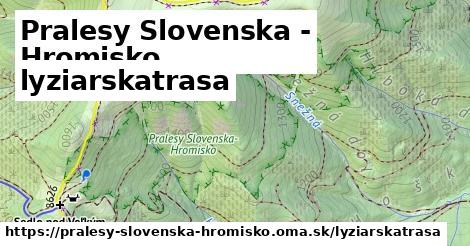 Pralesy Slovenska - Hromisko Lyžiarske trasy  